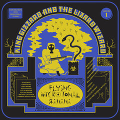  Cover
                            de Flying Microtonal Banana